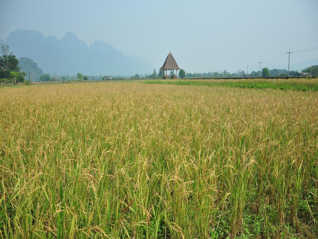 Viengtara Vangvieng Resort Vang Vieng Buitenkant foto